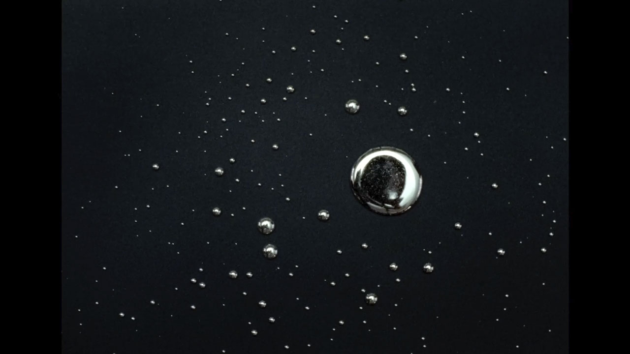 SNW 2025 Genetic Code