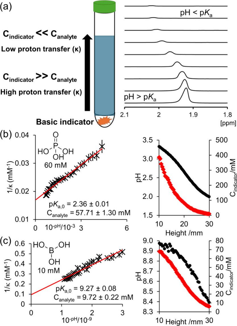 Figure 1. (a) A concentration gradient of a basic indicator is established in an NMR tube, allowing measurement of the quantity of protons transferred from acid to base as a function of pH. (b) Plot of 1/κ versus 10–pH for 60 mM H3PO4 (left) and plot of pH (black circle) and Cindicator (red diamond) versus height from tube base (right). (c) Plot of 1/κ versus 10–pH for 10 mM boric acid (left) and plot of pH and Cindicator versus height from tube base (right).