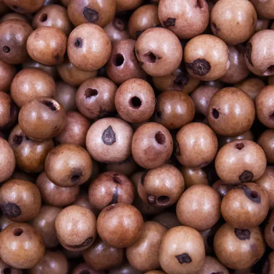 Semente De Acai Passante Com 1.000 Pecas