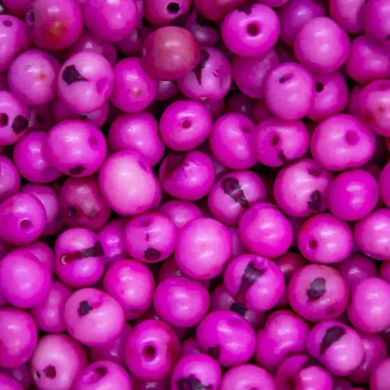 Semente De Acai Passante Com 1.000 Pecas