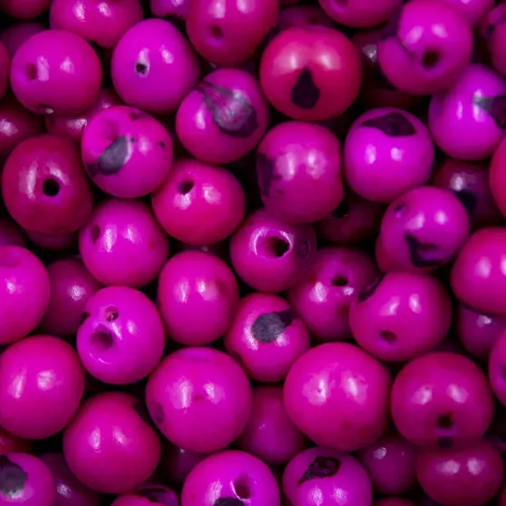 Semente De Acai Passante Com 1.000 Pecas