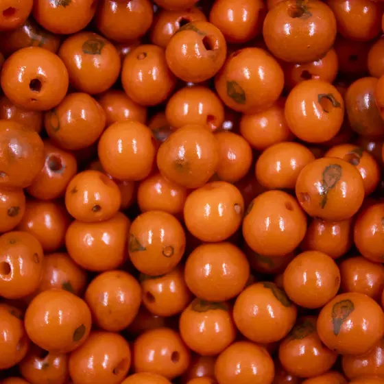 Semente De Acai Passante Com 1.000 Pecas