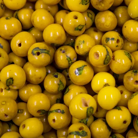 Semente De Acai Passante Com 1.000 Pecas