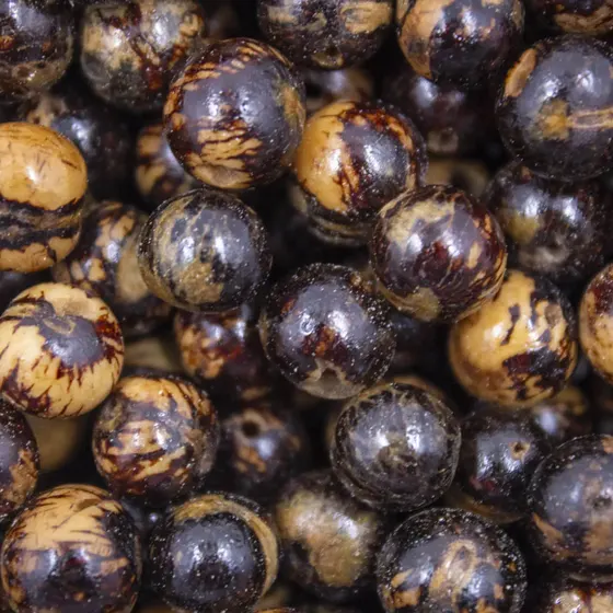 Semente De Acai Passante Com 1.000 Pecas