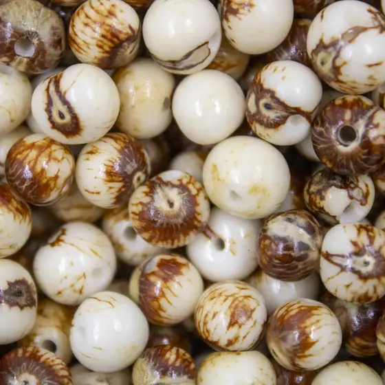 Semente De Acai Passante Com 1.000 Pecas