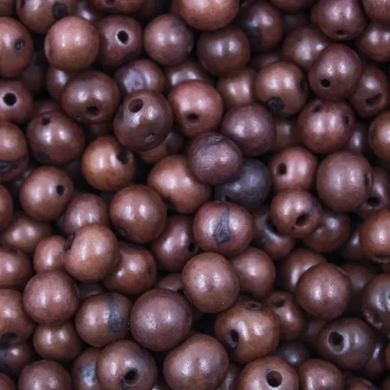 Semente De Acai Passante Com 1.000 Pecas