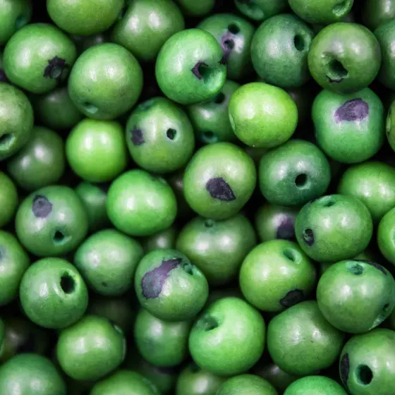 Semente De Acai Passante Com 1.000 Pecas