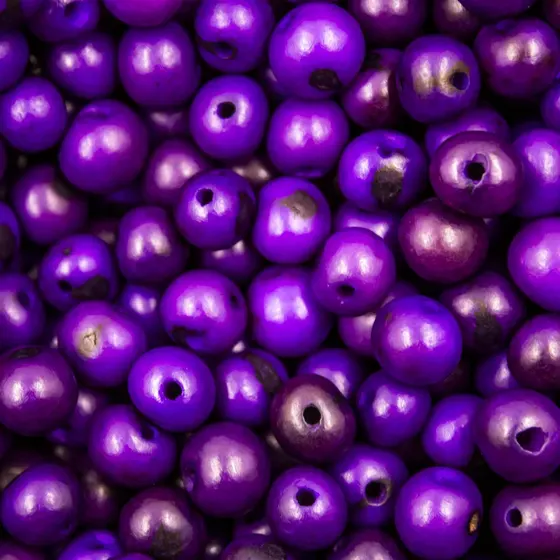 Semente De Acai Passante Com 1.000 Pecas
