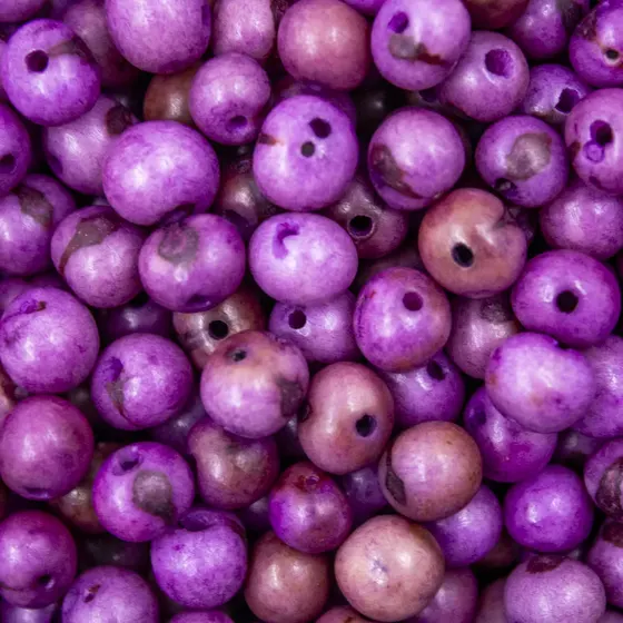 Semente De Acai Passante Com 1.000 Pecas