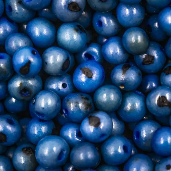 Semente De Acai Passante Com 1.000 Pecas