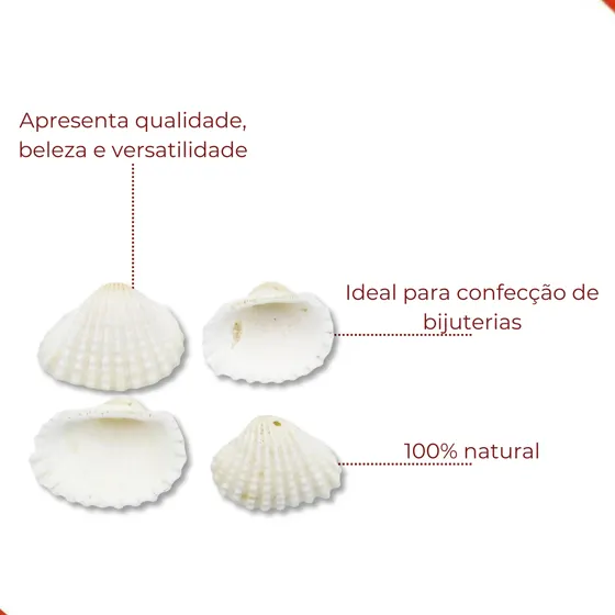 Concha Do Mar Passante 25X35Mm Com 500Gr