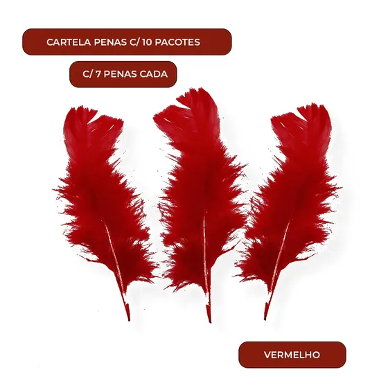 Cartela Penas C/ 10 Pacotes C/ 7 Penas Cada