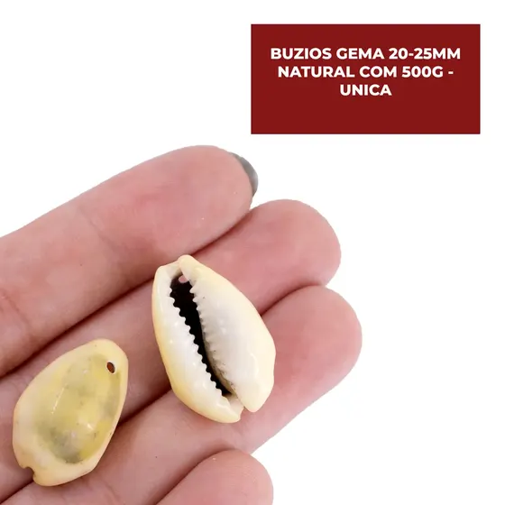 Buzios Gema 20-25Mm Natural Com 500G