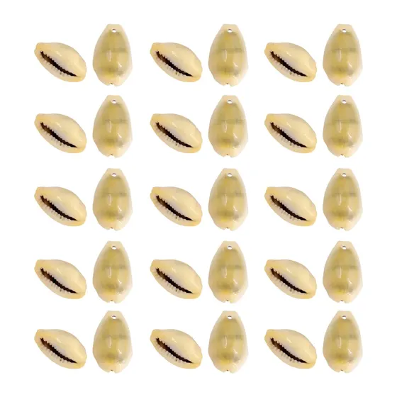 Buzios Gema 20-25Mm Natural Com 500G