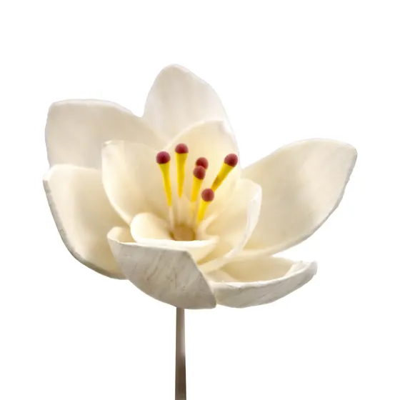 Vareta Decorativa Flor Artificial 5.5X22Cm Em Rattan Com 06 Unidades