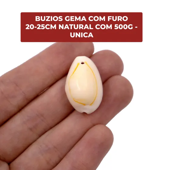 Buzios Gema Com Furo 20-25Cm Natural Com 500G
