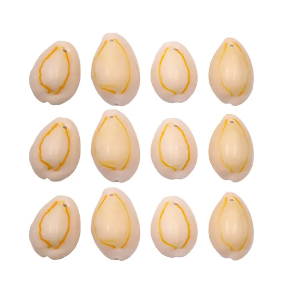 Buzios Gema Com Furo 20-25Cm Natural Com 500G