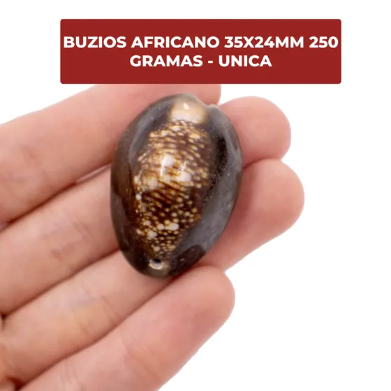 Buzios Africano 35X24Mm Com 250G