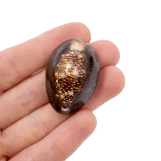 Buzios Africano 35X24Mm Com 250G