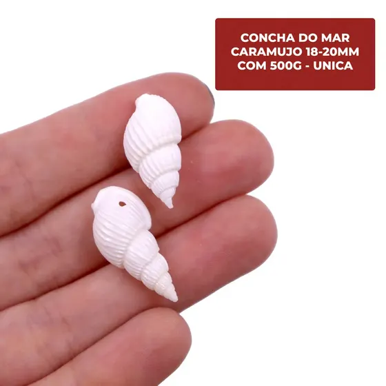 Concha Do Mar Caramujo 18-20Mm Com 500G
