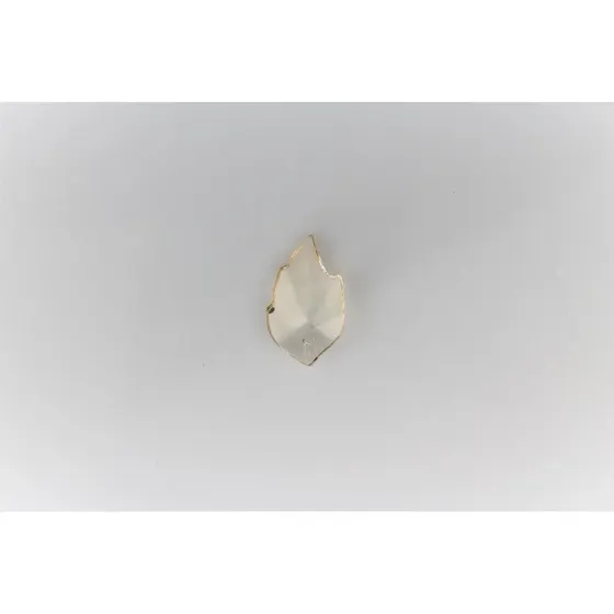 Pingente Asa De Anjo 15X25Mm Em Acrilico Com 500Gr 0610 - Bege 0610