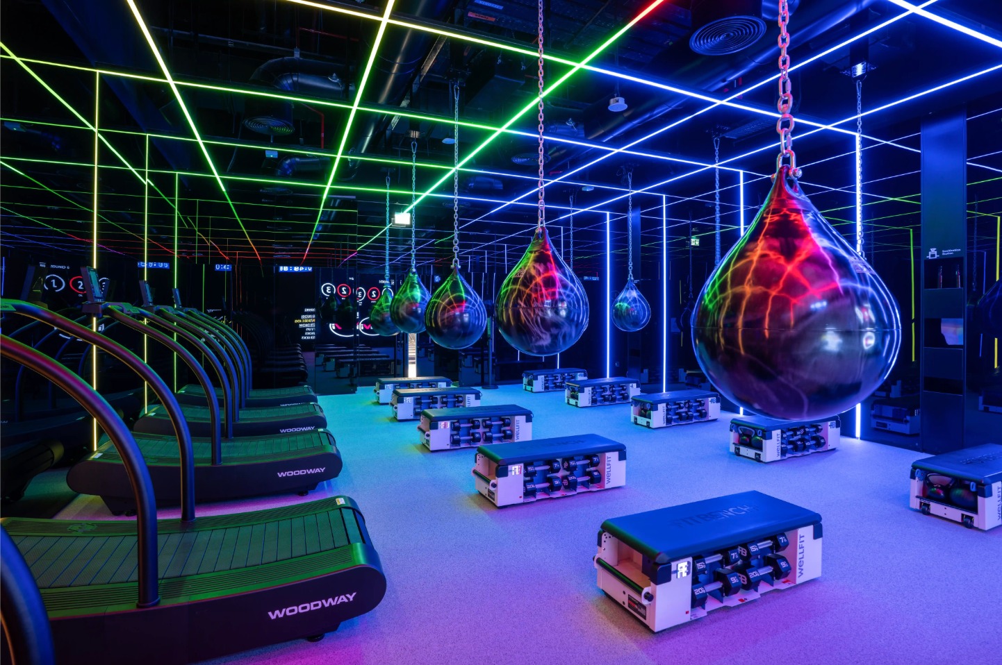 WELLFIT SPORT SOCIETY - 3 DAY GYM PASS - 12:00 PM - MON
