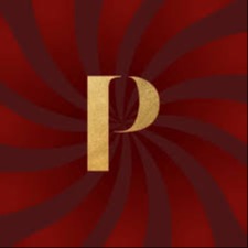 Paradiso Dubai 