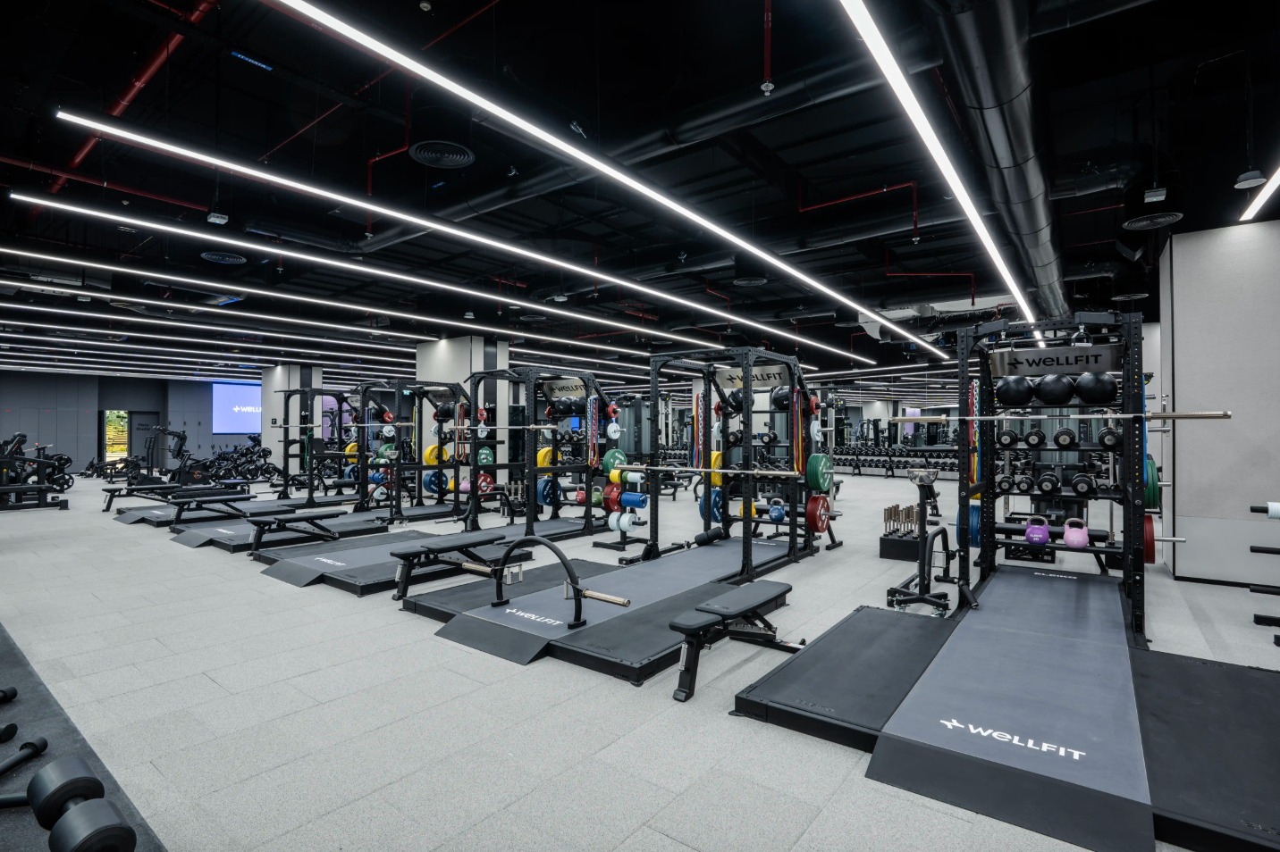 Wellfit Sport Society