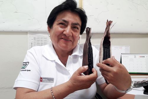Chile premiará a Cajamarquina por estudio sobre el maíz morado