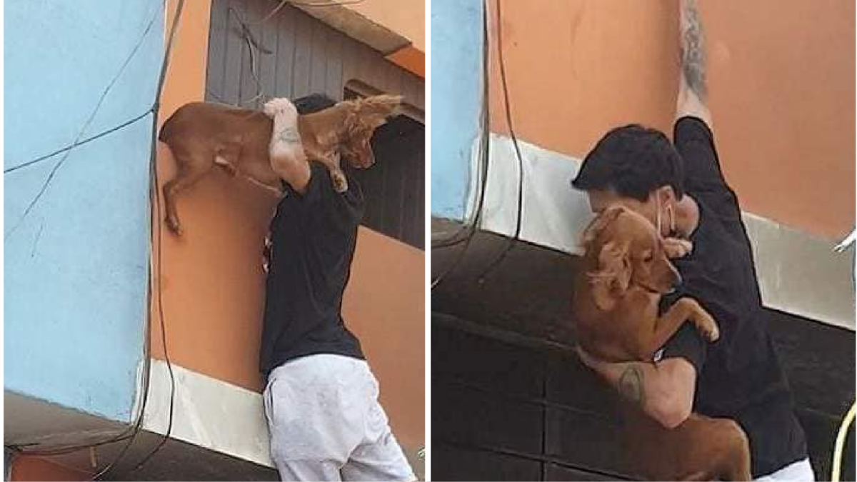 Joven arriesga su vida y salva a un perrito en incendio