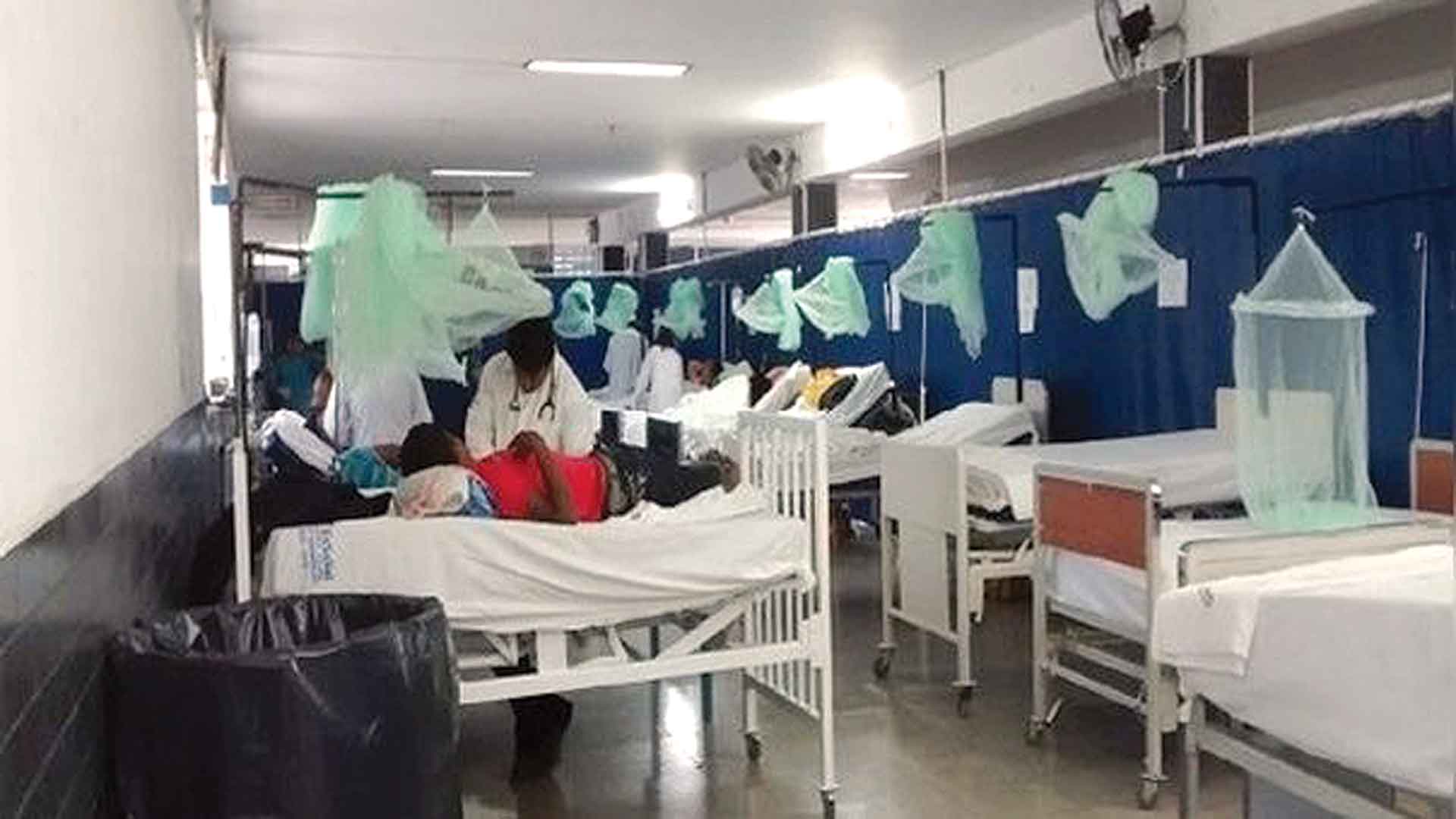 Dengue ha reportado al menos 4 mil 300 contagios