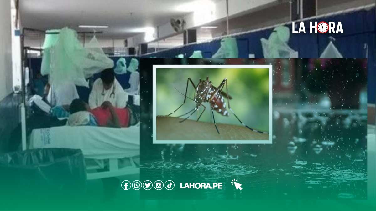 Minsa: Piura registra más de 2 mil casos de dengue 