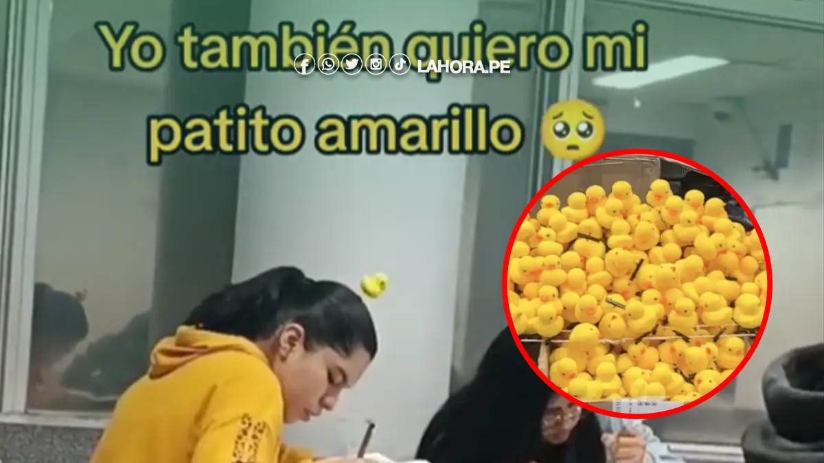 Patitos Amarillos En La Cabeza Qu Significa Y D Nde Se Origin Esta Tendencia Viral En Tiktok