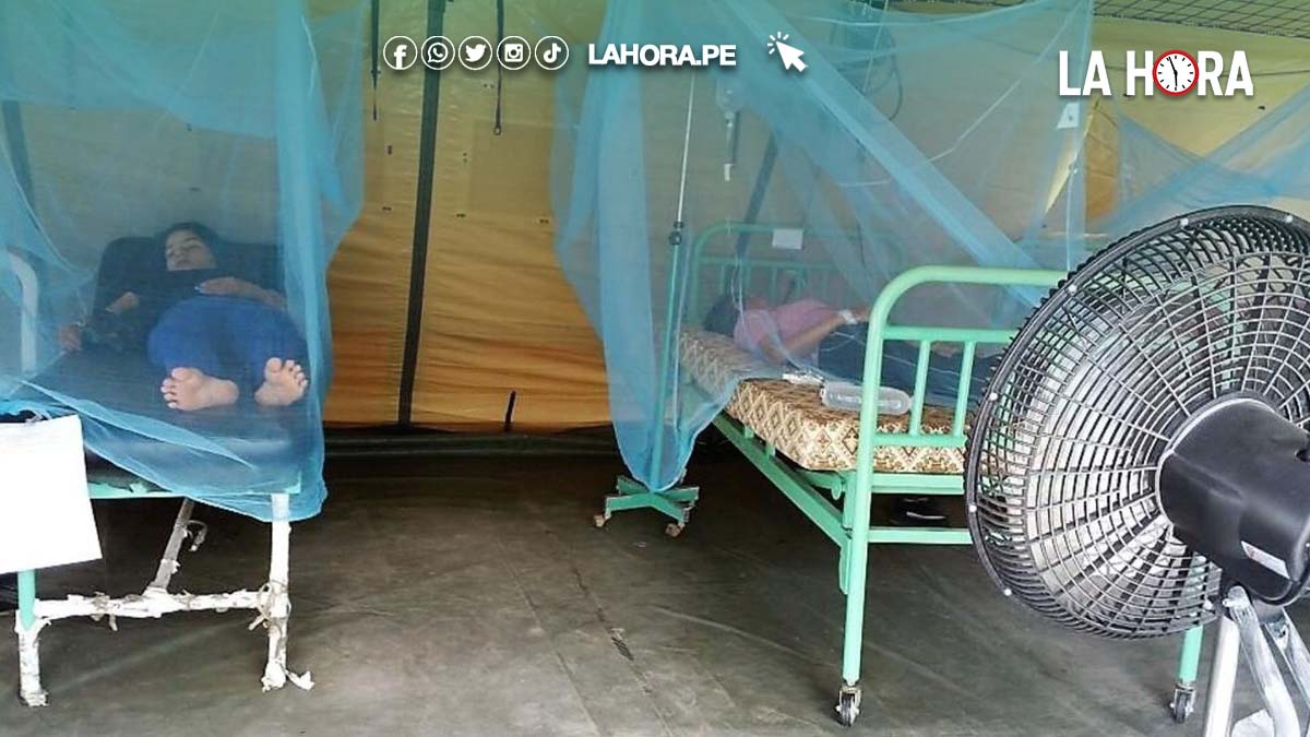 Dengue en Piura: Diresa no actualiza datos sobre contagios y fallecidos