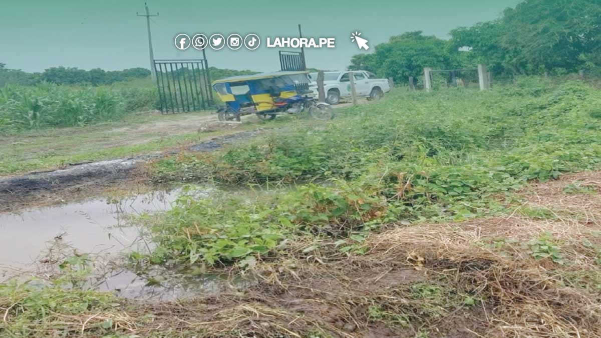 Tambogrande: agricultores llevan más de dos meses sin poder regar