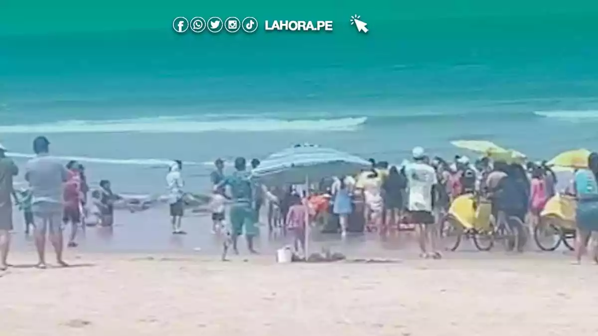 Joven acude a refrescarse a la playa y perece ahogado