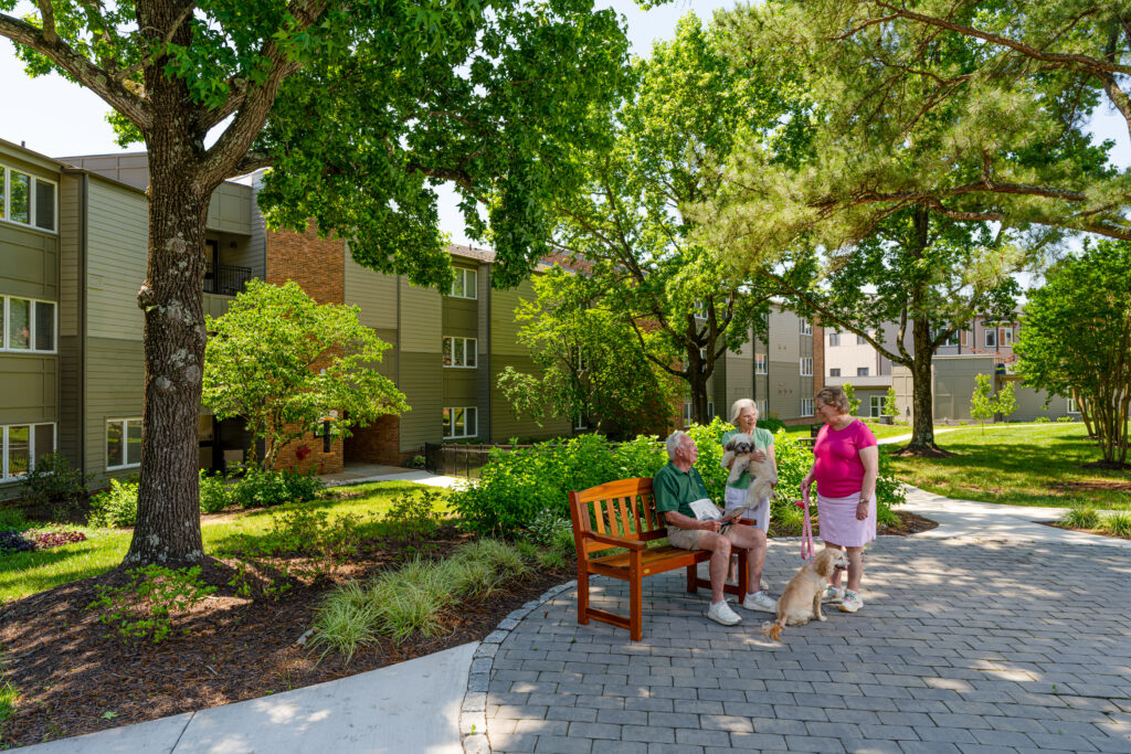 Seniors and their dogs meet each other while taking a walk on a tree-shaded path