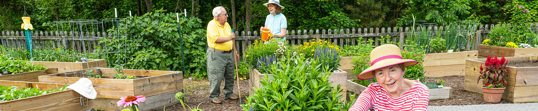 Senior living residents gardening