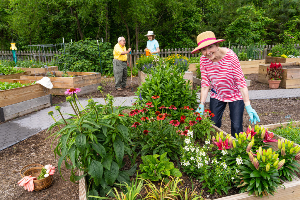 Seniors grow beautiful flowers in raised garden beds