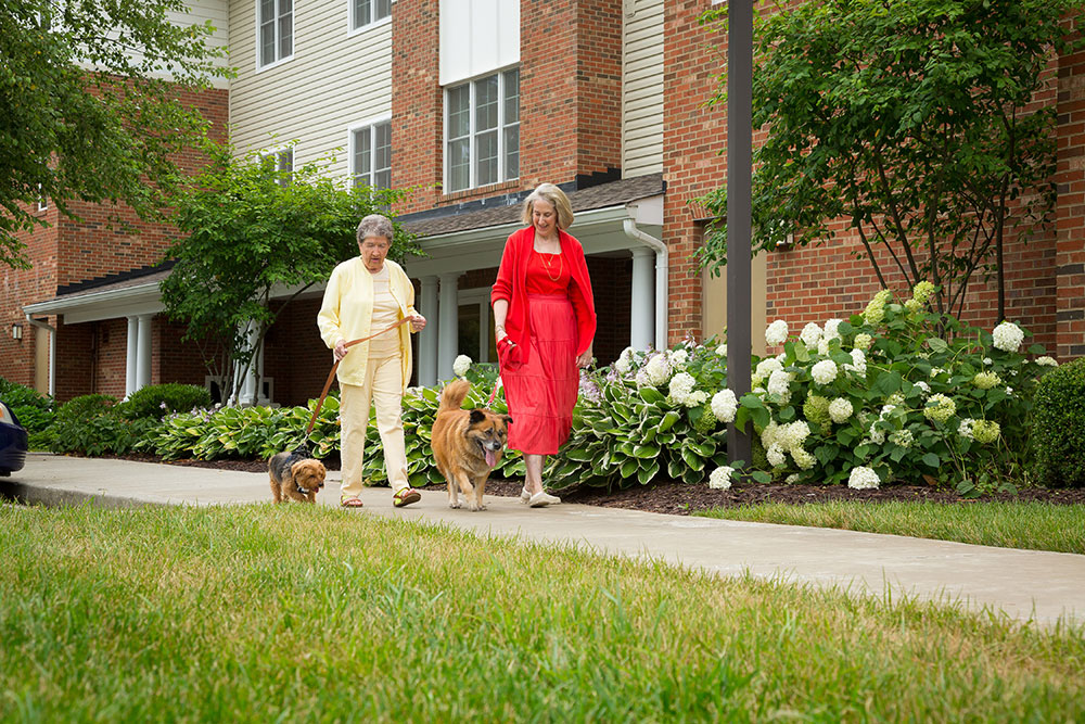 Senior woman walking dogs at retirement community