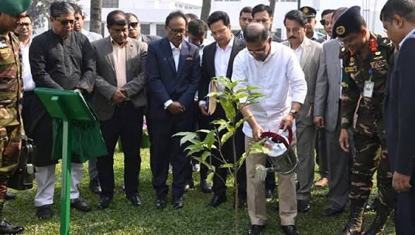 শিশুদের অন্তত একটি করে গাছ লাগানোর আহ্বান প্রধানমন্ত্রীর