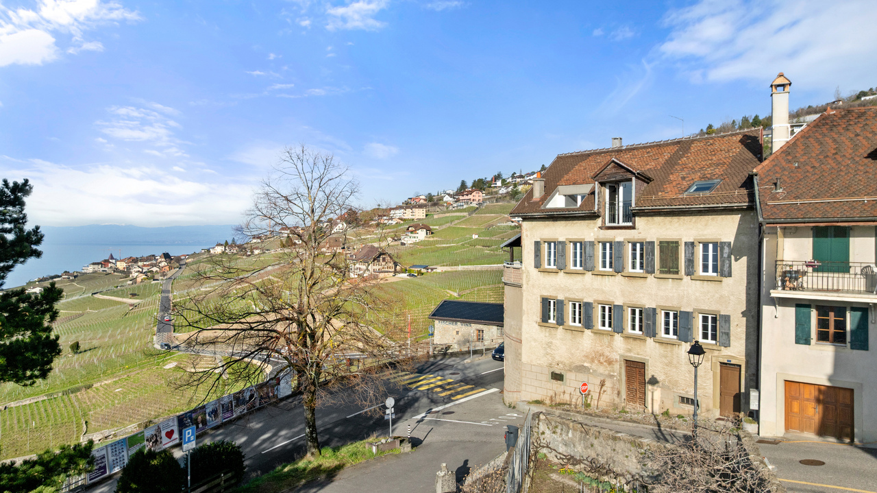 Bâtisse exceptionnelle avec 3 appartements et vue panoramique, Lavaux