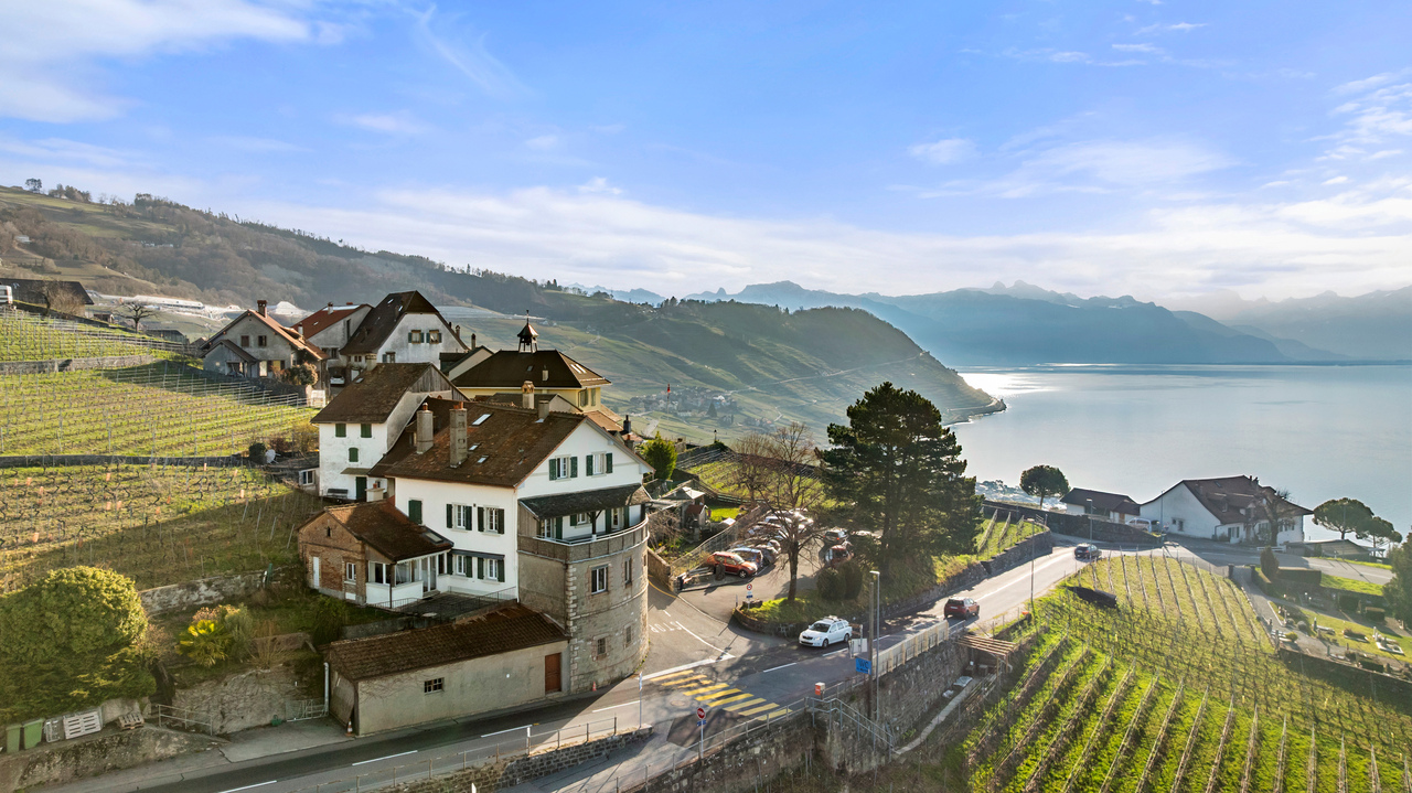 Bâtisse exceptionnelle avec 3 appartements et vue panoramique, Lavaux