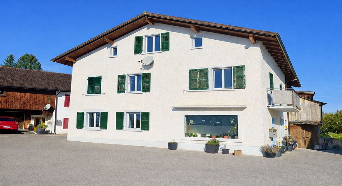 JURA - Châtillon - BIEN D’EXCEPTION – MAISON DE CARACTÈRE 6.5 PIÈCES AVEC GRANGE & VUE MONTAGNE