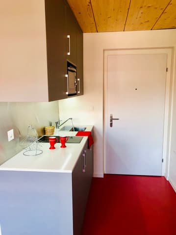 Appartement à louer 1 pièce à 1020 Renens VD - Vaud