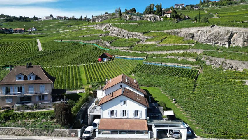 Appartement à vendre 3 pièces à 1071 Rivaz - Vaud