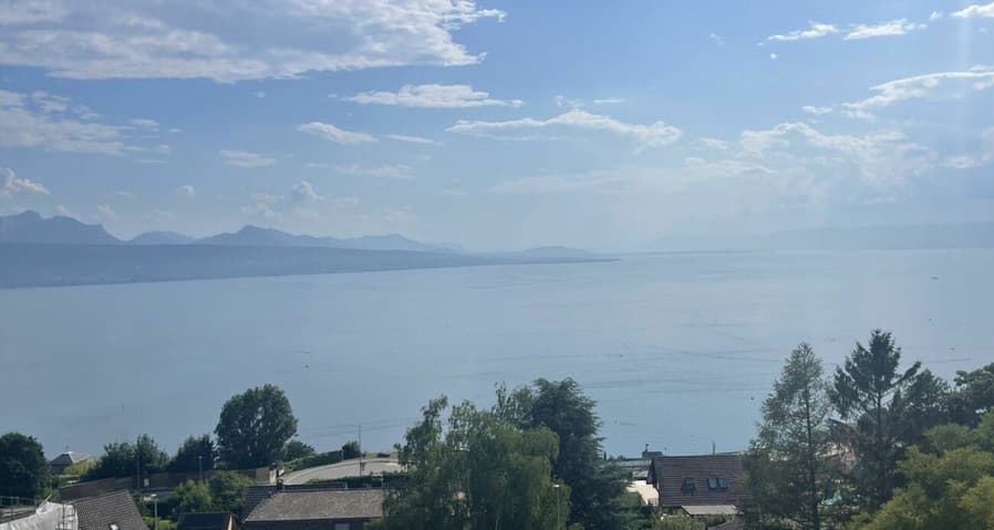 Appartement à vendre 4.5 pièces à 1091 Grandvaux - Vaud