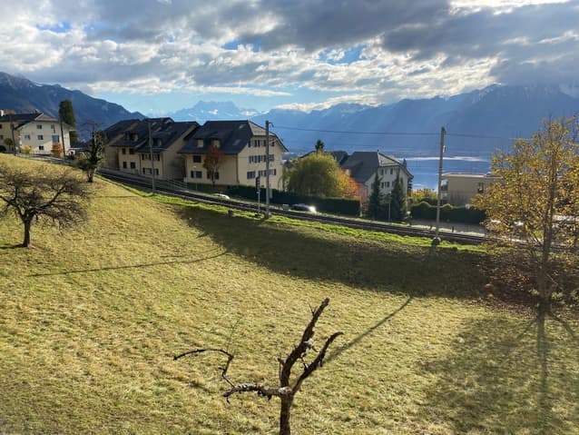 Appartement à vendre 3.5 pièces à 1822 Chernex - Vaud