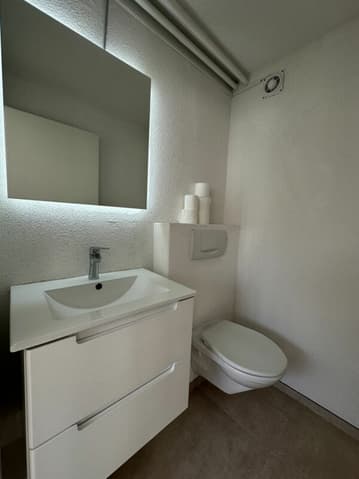 Maison à louer 12 pièces à 3902 Glis - Valais