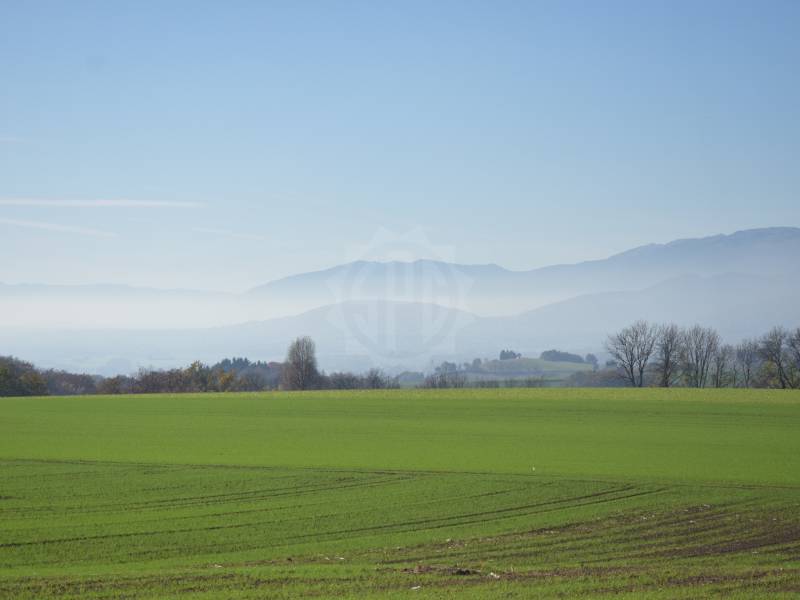  Ravissant appartement - Burtigny